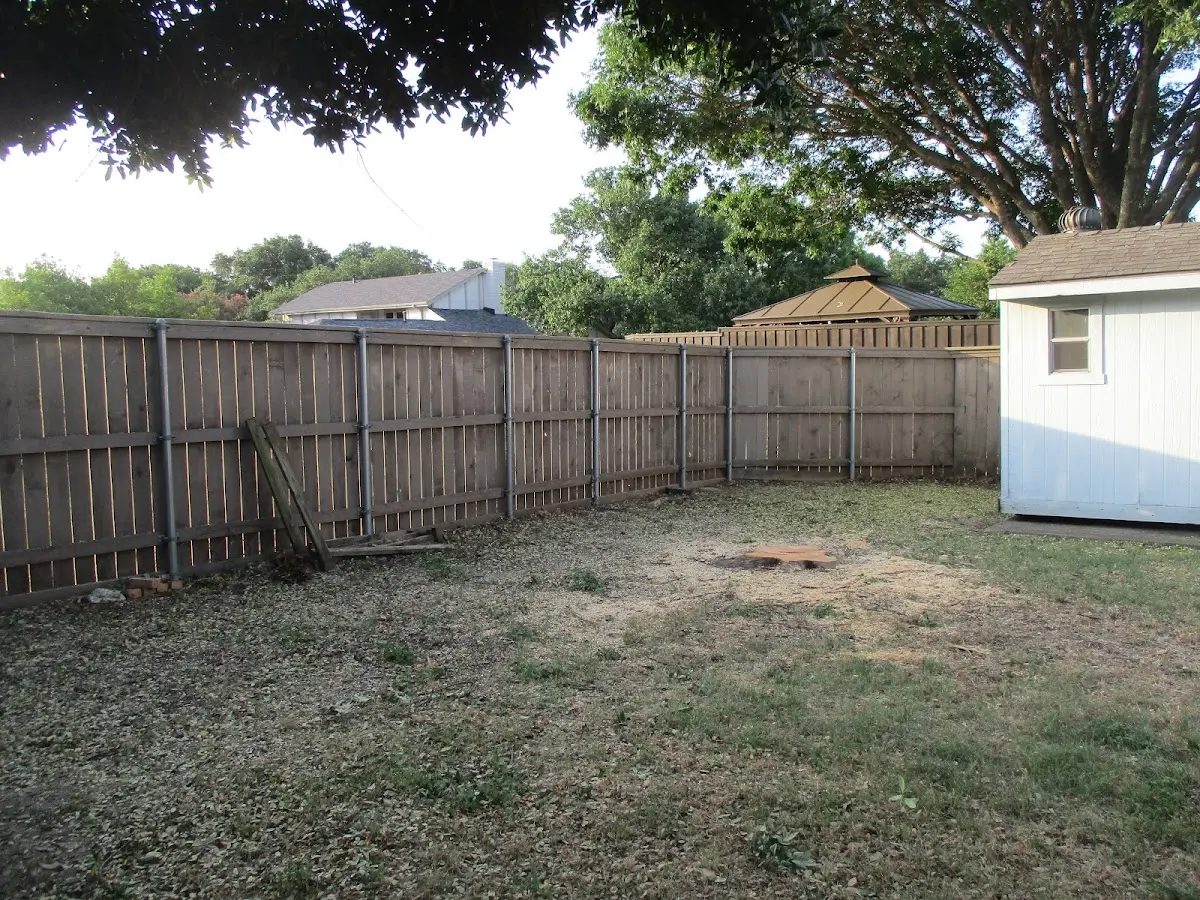 Cleared yard after professional tree removal in Sloan